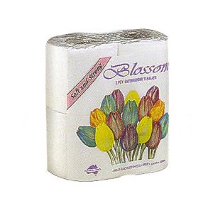 Toilet 2 PLY 250 Deluxe/Swan/Blossom Roll (Carton 48)