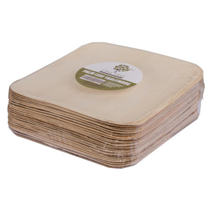 Eco Vision Large Square Plate 10 250mm(Dry Palm Leaf) (Pack 25)