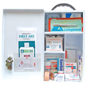 First Aid Kit (Class-B 11-99 People) (Each)