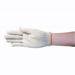 Gloves Cotton With Wrist Elastic (Pack 12)