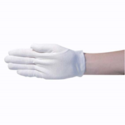 Gloves Cotton Medium (Pack 12)