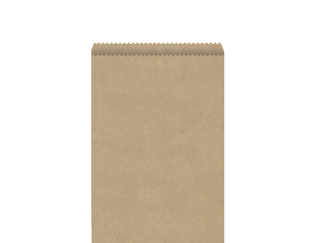 2F Brown Bag Paper (250x165mm) (Carton 500)