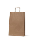 Paper Carry Bag Medium Brown B2 480 (Carton 250) (Pack 50)