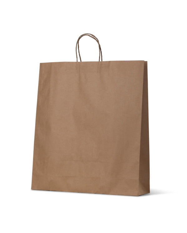 Paper Carry Bag Large Brown B3 500 (Carton 250) (Pack 50)