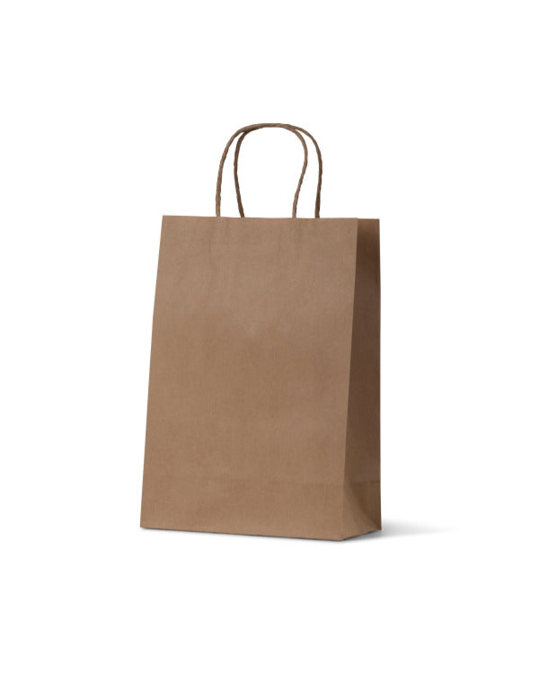 Paper Carry Bag Jun Brown Bj/10# 290x200mm (Carton 250) (Pack 50)