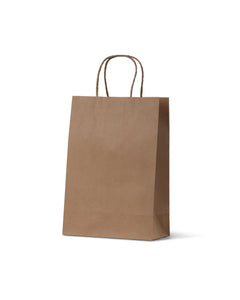 Paper Carry Bag Jun Brown Bj/10# 290x200mm (Carton 250) (Pack 50)