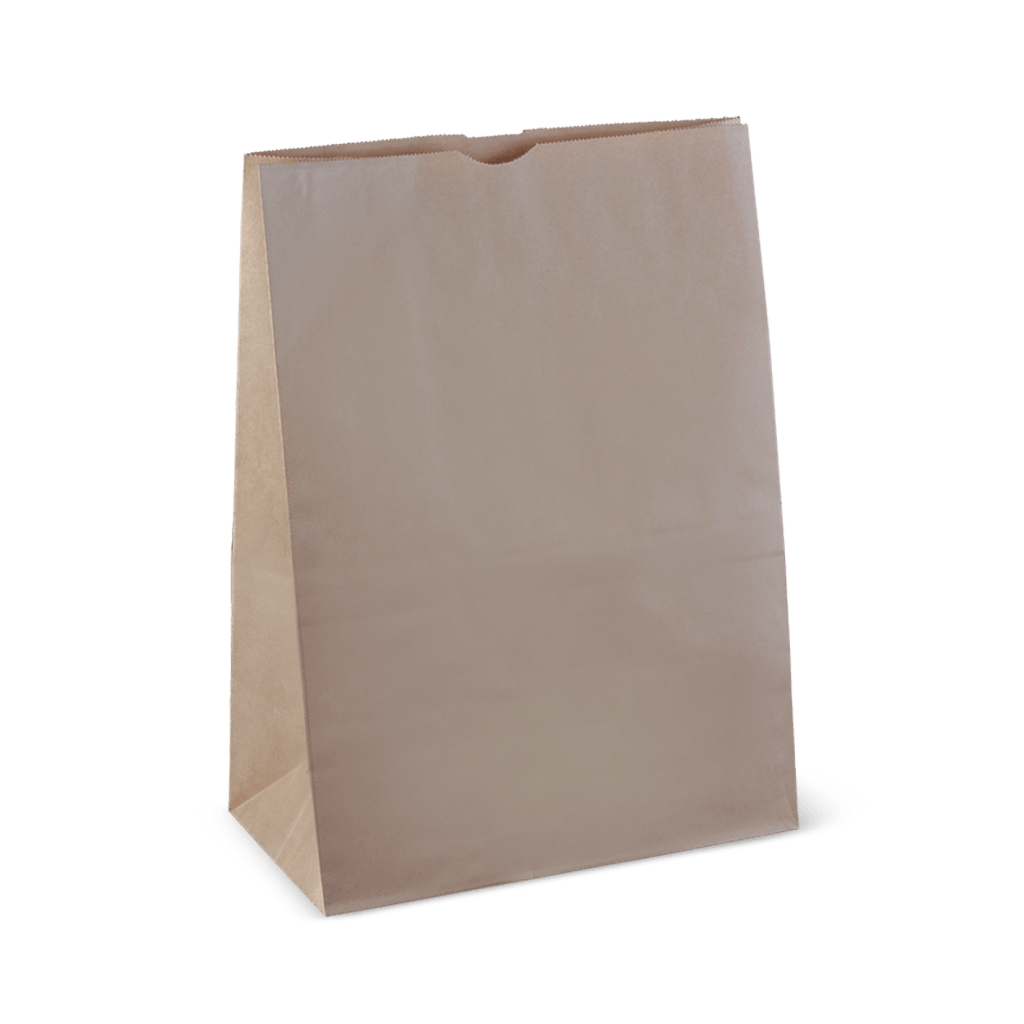 Checkout Bag Paper #20 Brown 430x305x175mm Detpak (Carton 250)
