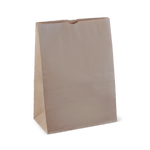 Checkout Bag Paper #20 Brown 430x305x175mm Detpak (Carton 250)